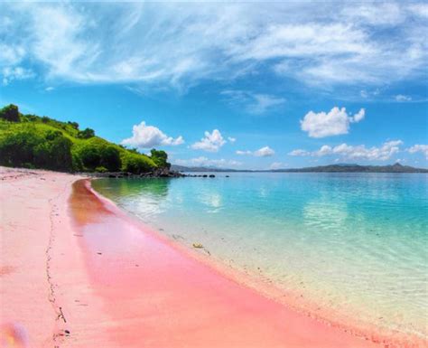 Tampak depan pantai pink dengan air laut biru dan pasir berwarna pink